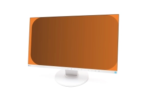 Monitor LCD 24” EIZO EV2450